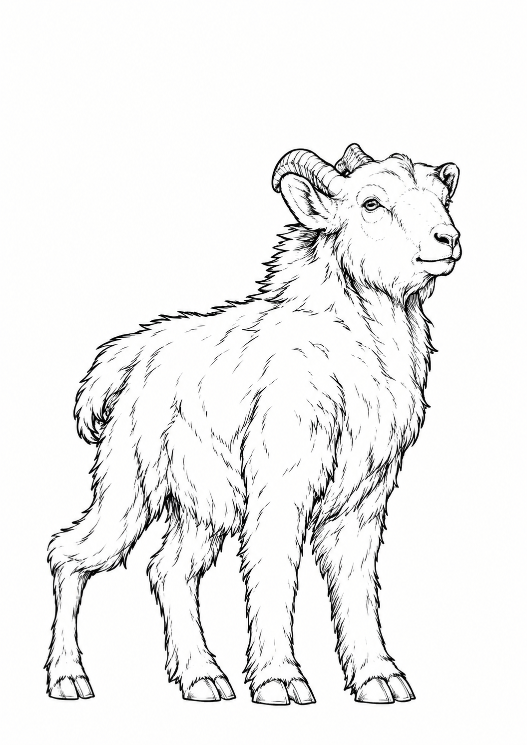 Fluffy Ram printable coloring page with line art and color reference