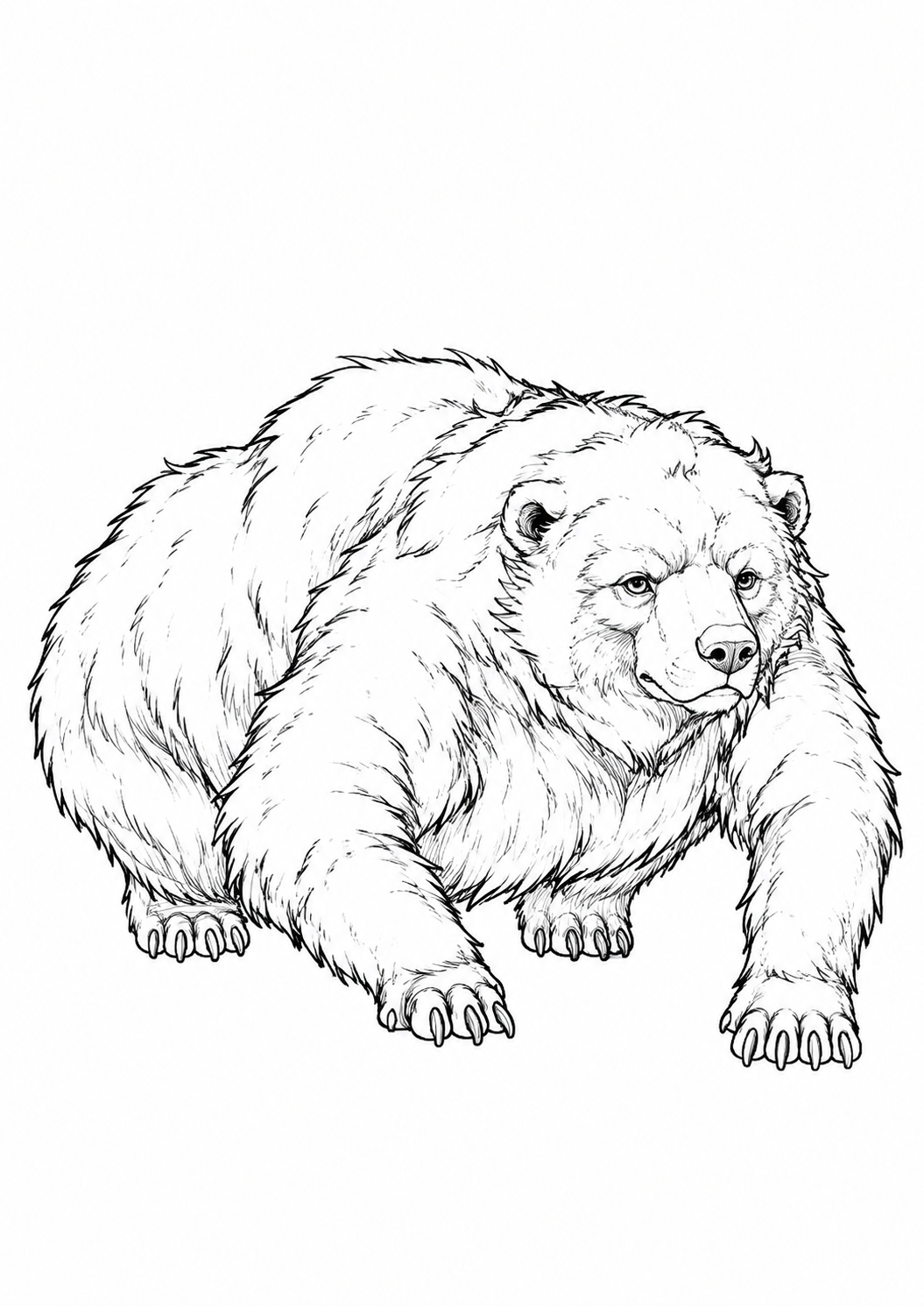 Brown Bear printable coloring page with line art and color reference