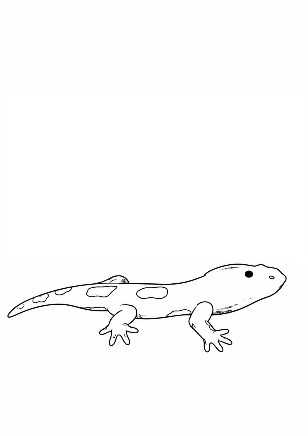 Simple Salamander printable coloring page with line art and color reference