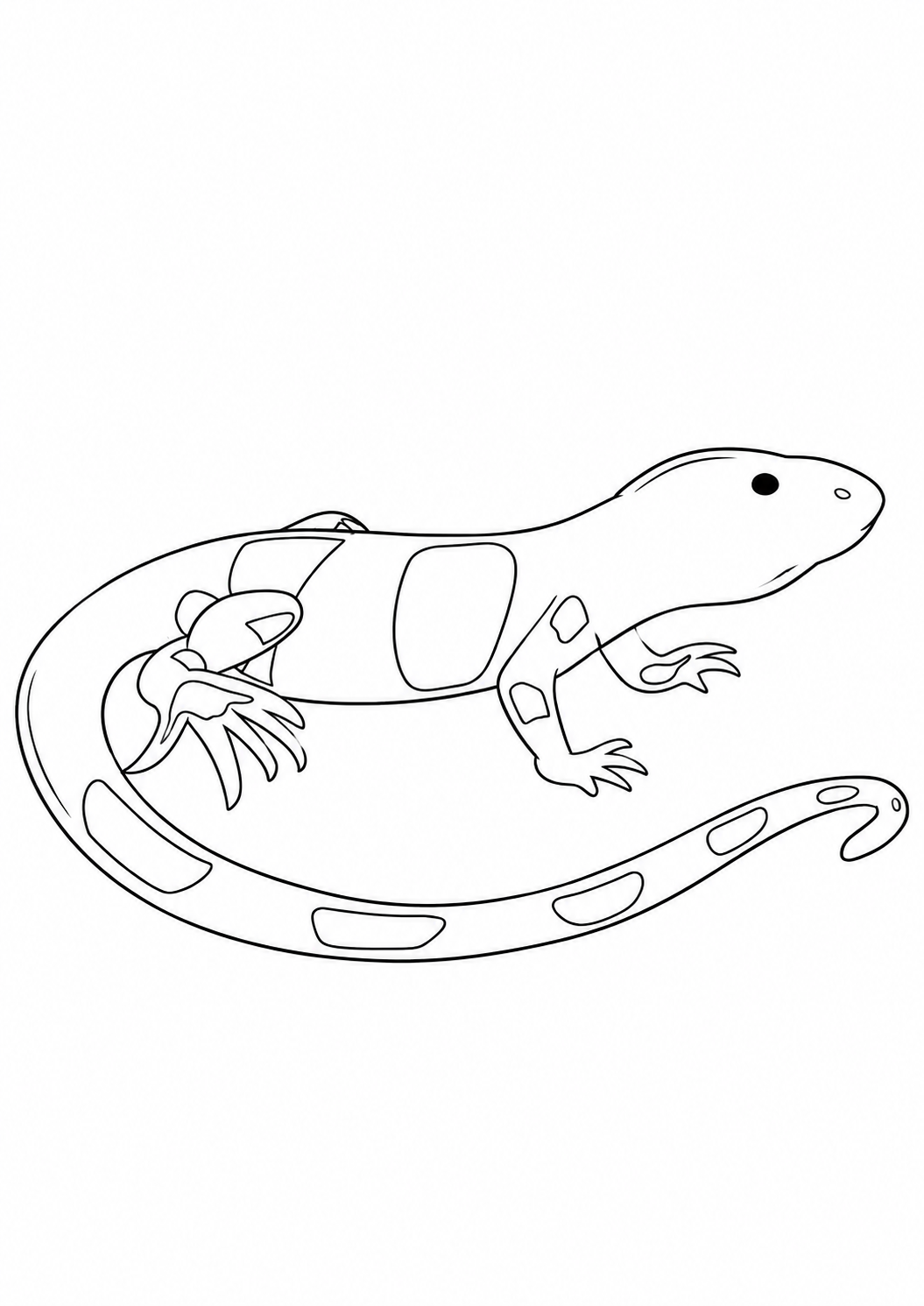 Spotted Salamander printable coloring page with line art and color reference