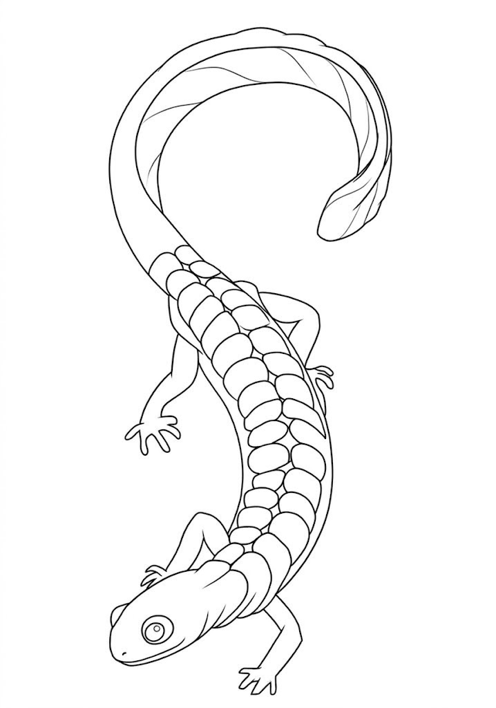 Banded Salamander printable coloring page with line art and color reference